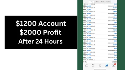 With $1200 Investment, You Get $2000 In 24 Hours Money Back Guarantee
